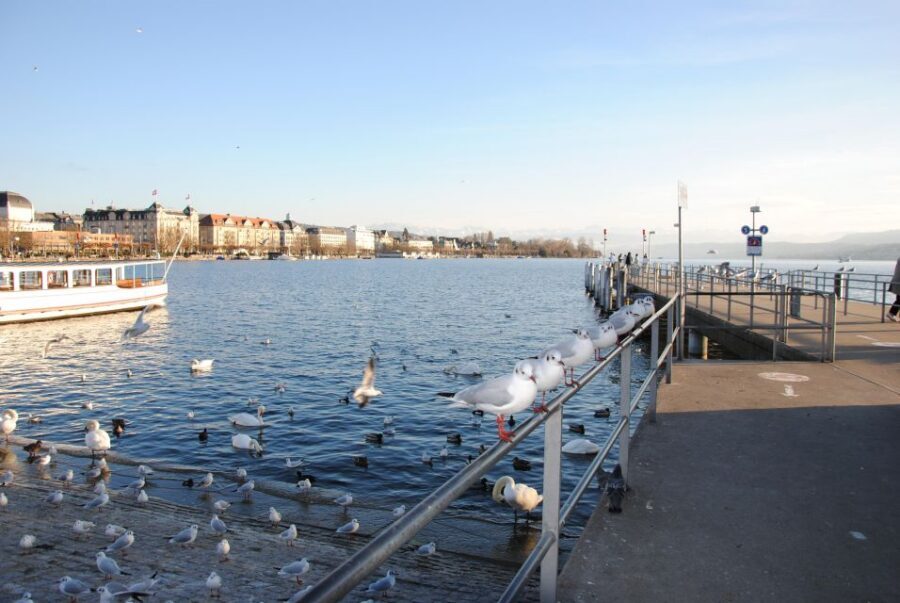 Zurich: 360° city walk including hidden spots - St. Peter’s and Munsterhof: church stops that actually move the story