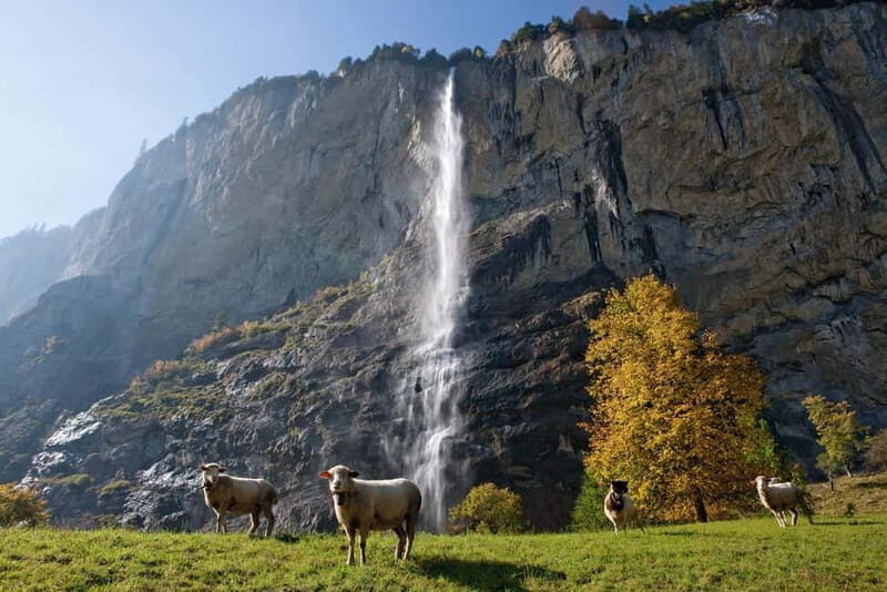 Zurich: Day Trip to Grindelwald, Interlaken & Lauterbrunnen - Pickup at Zurich Sihlquai: The Small Details That Keep Your Day Smooth