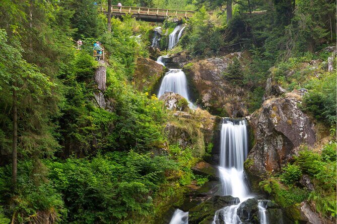 Zürich: Private Car Tour to Rhine Falls, Titisee and Black Forest - Lake Titisee-Neustadt and Schluchsee: The Black Forest Views Portion