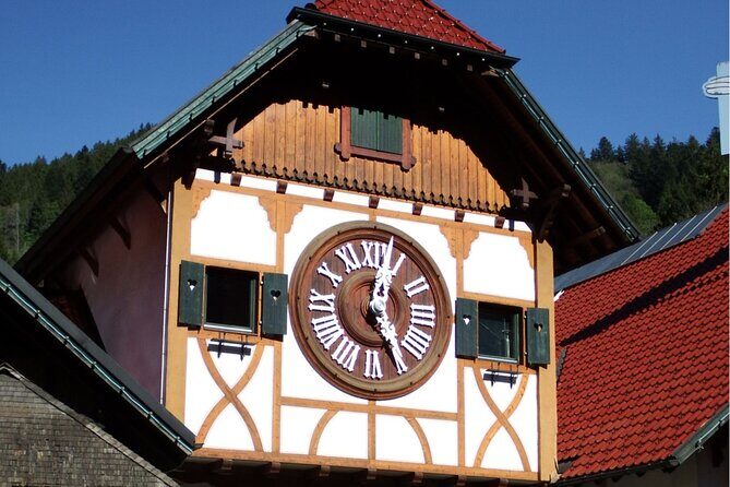 Zürich: Private Car Tour to Rhine Falls, Titisee and Black Forest - Price and Value: What $272.47 Covers
