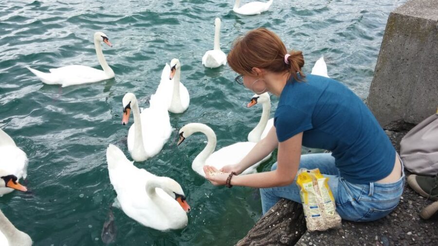 Zurich: Private Walking Tour with a Local Guide - Picking the right duration: 2, 3, or 5 hours