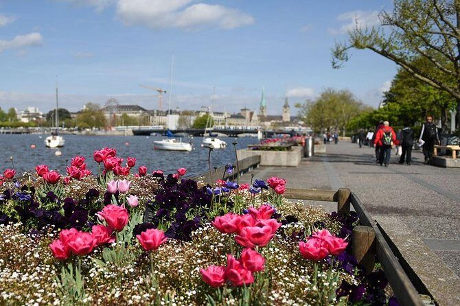 Zurich Sightseeing Private Walking Tour - Old Town streets and Niederdorf: car-free lanes, bookstores, and the evening vibe