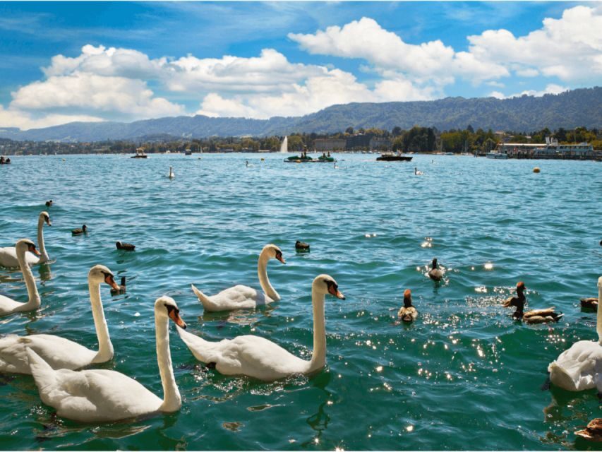 Zürich with Cruise and Lindt Home of chocolate (private) - Should you book the Zurich with Cruise and Lindt private tour?