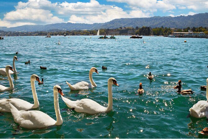 Zurich with Cruise and Lindt Home of Chocolate Private tour - Value Check: Is $511.68 a Good Deal for This Mix?