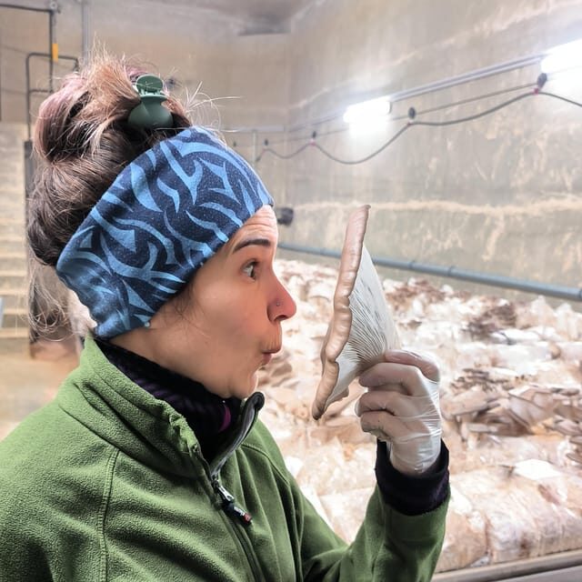Zurich's best-kept secret: the hidden world of mushrooms! - Taste testing and sensory learning you can remember later